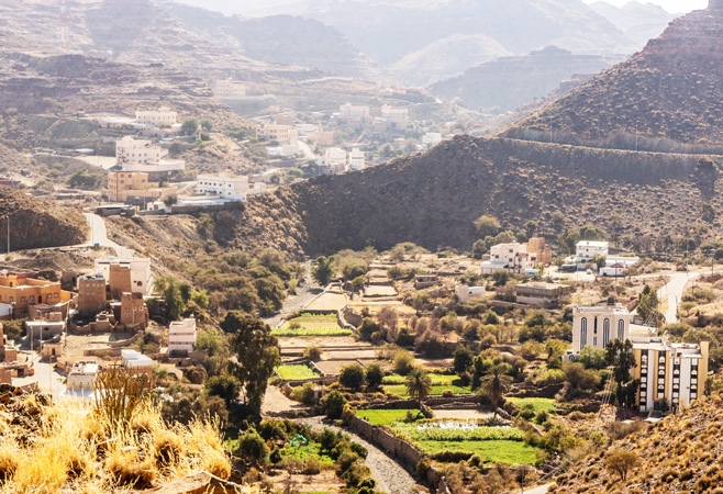 Dhahran suits travelers who enjoy a calm city experience