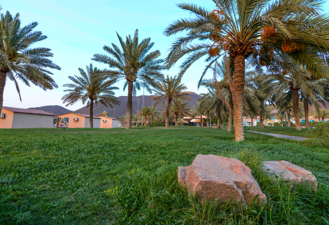 Public park in Hail city