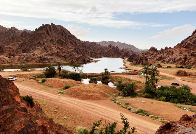 Twaren Oasis